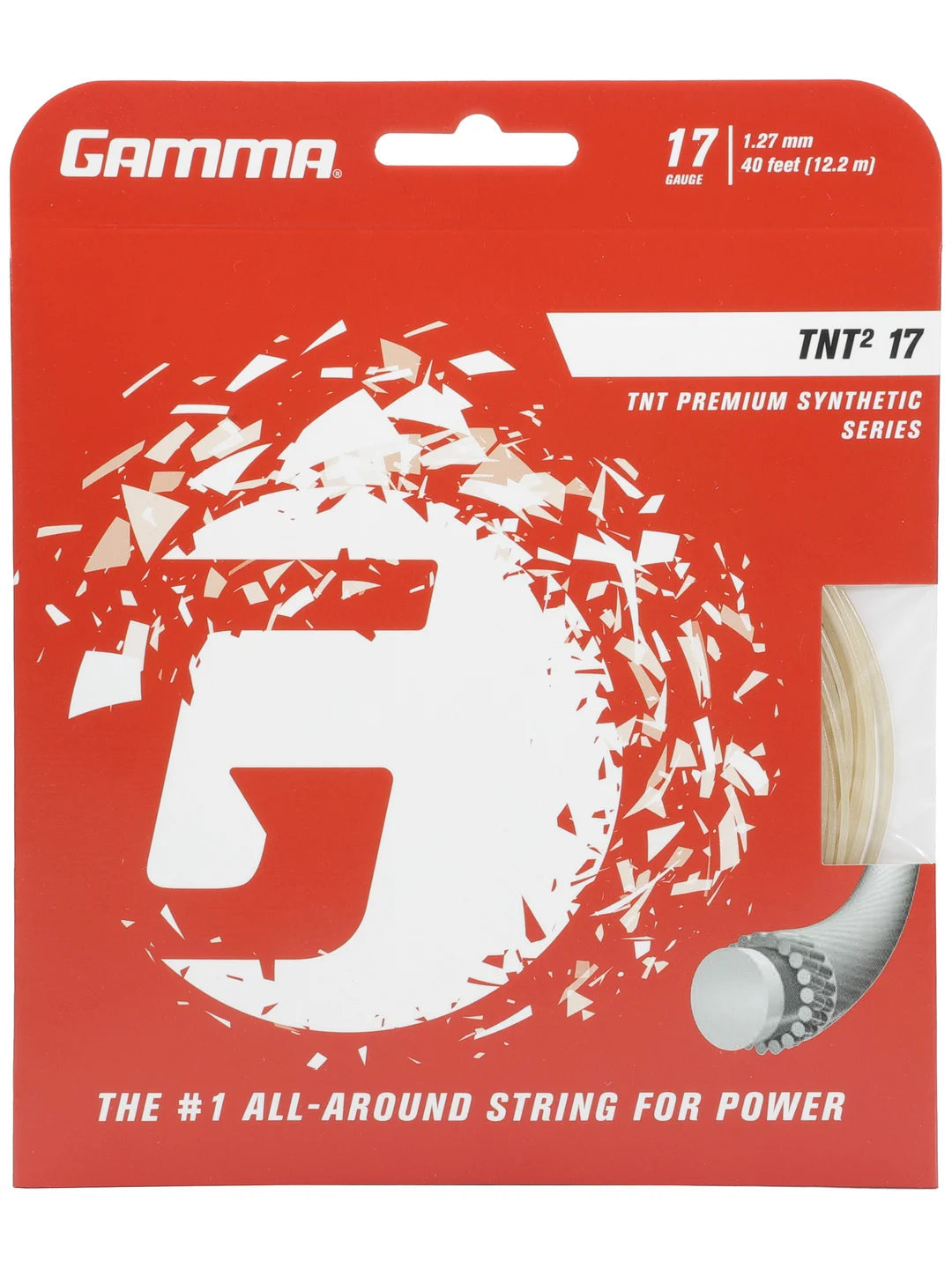 Synthetic Gut