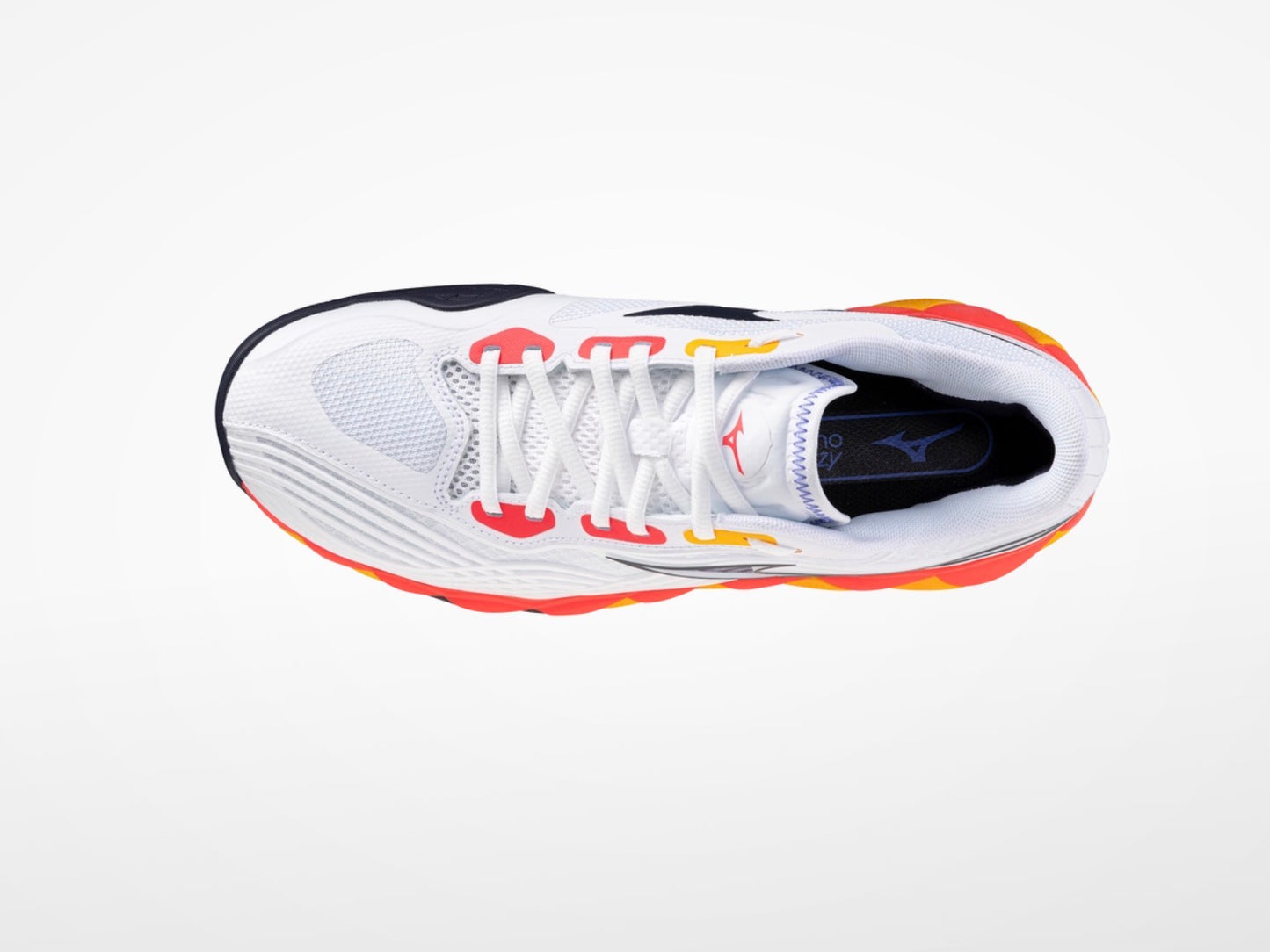 Men’s Mizuno Wave Enforce Tour 2 AC Tennis Court Shoes